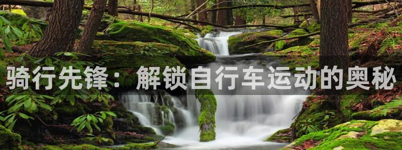 尊龙凯时的最新消息|骑行先锋:解锁自行车运动的奥秘(图1) 尊龙凯时的最新消息