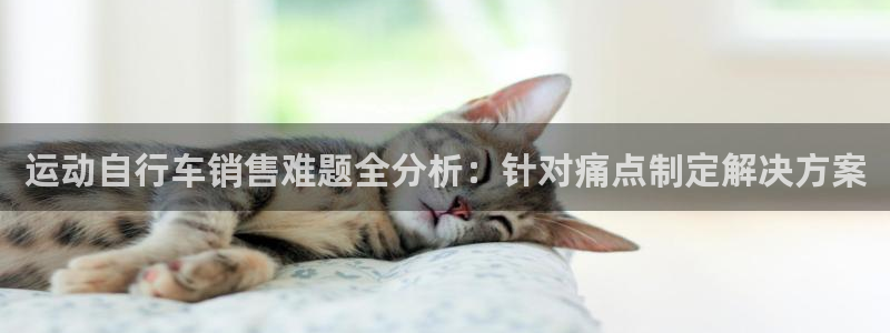 尊龙凯时最新z6com|运动自行车销售难题全分析:针对痛点制定解决方案(图1) 尊龙凯时最新z6com
