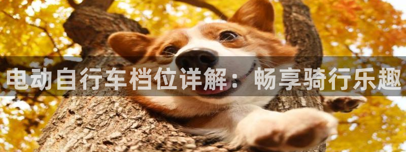 尊龙凯时娱乐|电动自行车档位详解:畅享骑行乐趣(图1) 尊龙凯时娱乐