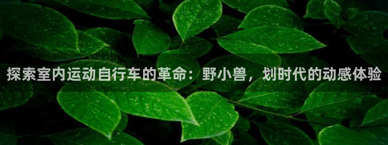 尊龙凯时网站进入|探索室内运动自行车的革命:野小兽,划时代的动感体验(图1) 尊龙凯时网站进入