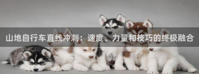 尊龙凯时官网地址是多少|山地自行车直线冲刺:速度、力量和技巧的终极融合(图1) 尊龙凯时官网地址是多少
