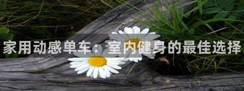 凯时尊龙官网网址|家用动感单车:室内健身的最佳选择(图1) 凯时尊龙官网网址