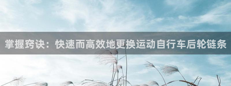 凯时尊龙人生就是博|掌握窍诀:快速而高效地更换运动自行车后轮链条(图1) 凯时尊龙人生就是博