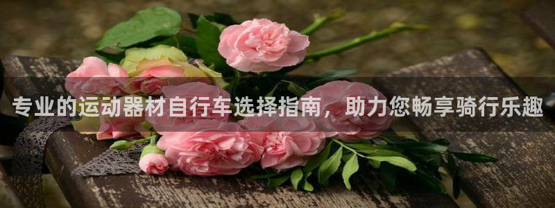 尊龙凯时一人生就是博|专业的运动器材自行车选择指南,助力您畅享骑行乐趣(图1) 尊龙凯时一人生就是博