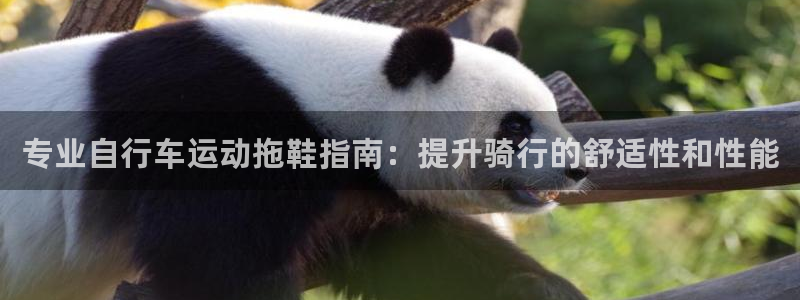 尊龙凯时 -人生就是博!|专业自行车运动拖鞋指南:提升骑行的舒适性和性能(图1) 尊龙凯时 -人生就是博!