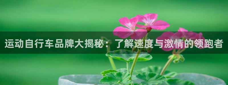 尊龙凯时人生就是搏|运动自行车品牌大揭秘:了解速度与激情的领跑者(图1) 尊龙凯时人生就是搏