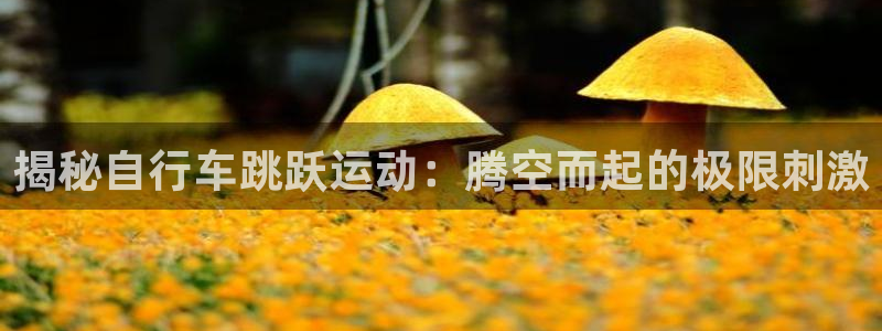 尊龙凯时最新网址|揭秘自行车跳跃运动:腾空而起的极限刺激(图1) 尊龙凯时最新网址