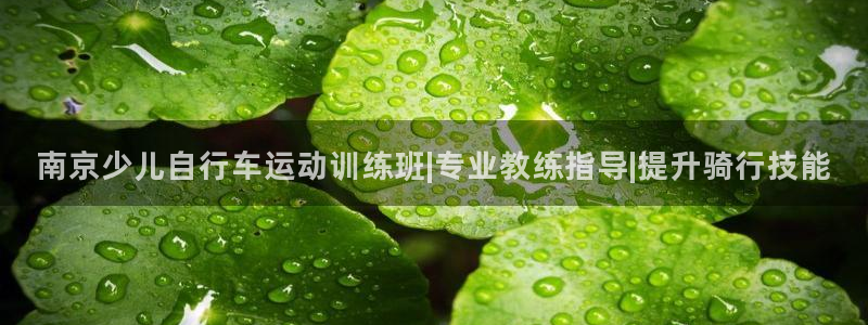 尊龙凯时网站进入|南京少儿自行车运动训练班|专业教练指导|提升骑行技能(图1) 尊龙凯时网站进入