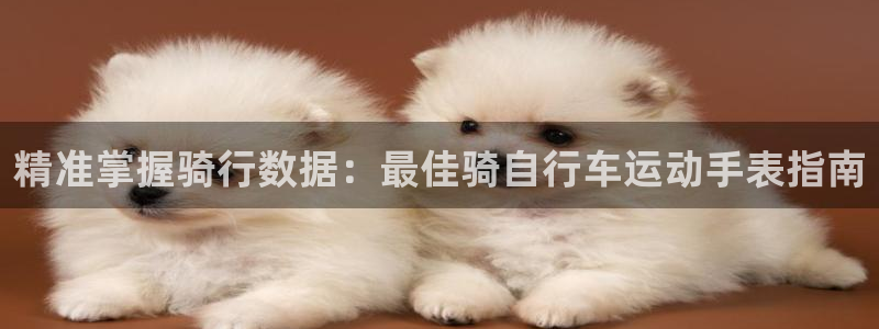 尊龙凯时网站|精准掌握骑行数据:最佳骑自行车运动手表指南(图1) 尊龙凯时网站