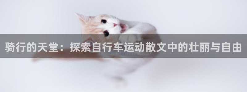 尊龙凯时人生就是搏!官网|骑行的天堂:探索自行车运动散文中的壮丽与自由(图1) 尊龙凯时人生就是搏!官网