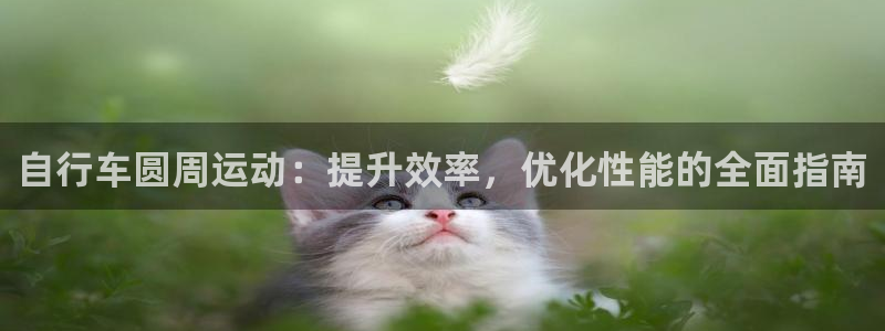 ag尊龙凯时|自行车圆周运动:提升效率,优化性能的全面指南(图1) ag尊龙凯时