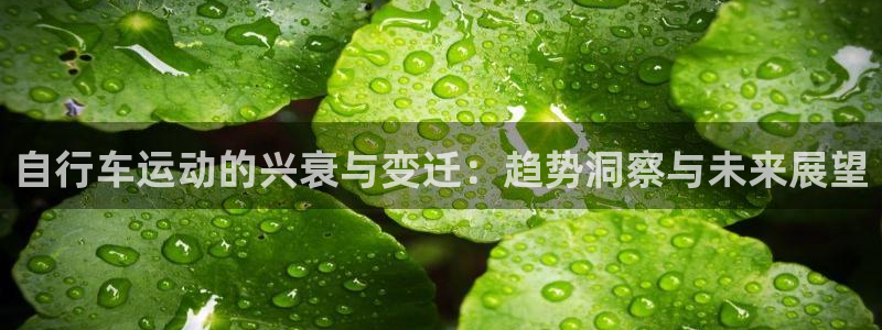 尊龙官方网站首页|自行车运动的兴衰与变迁:趋势洞察与未来展望(图1) 尊龙官方网站首页