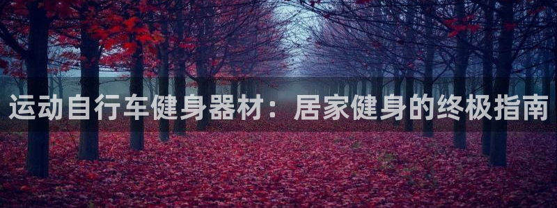运动自行车健身器材:居家健身的终极指南(图1) 运动自行车健身器材:居家健身的终极指南(图1)