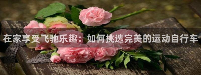 尊龙凯时官网入口|在家享受飞驰乐趣:如何挑选完美的运动自行车(图1) 尊龙凯时官网入口