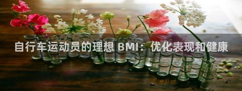 尊龙官方网站首页|自行车运动员的理想 BMI:优化表现和健康(图1) 尊龙官方网站首页