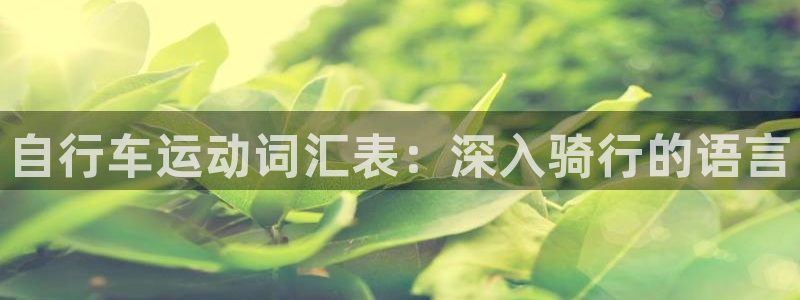 尊龙凯时是正规平台吗|自行车运动词汇表:深入骑行的语言(图1) 尊龙凯时是正规平台吗