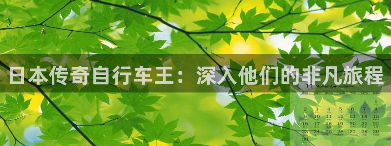 凯时尊龙官网|日本传奇自行车王:深入他们的非凡旅程(图1) 凯时尊龙官网