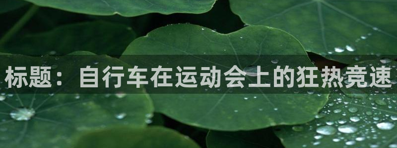 尊龙凯时app官方网站|标题:自行车在运动会上的狂热竞速(图1) 尊龙凯时app官方网站