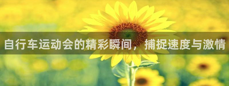 尊龙凯|自行车运动会的精彩瞬间,捕捉速度与激情(图1) 尊龙凯