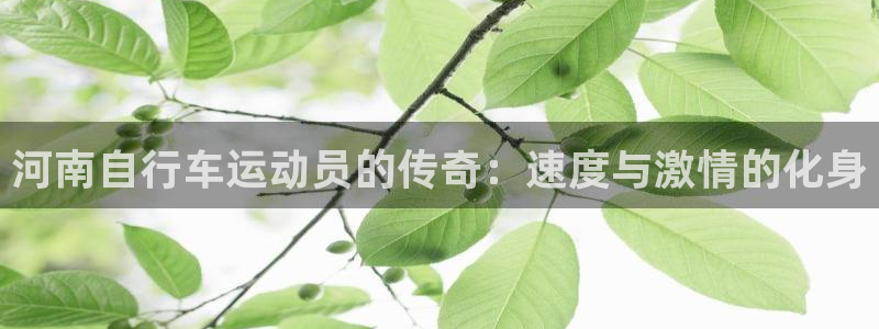尊龙凯时app官方网站|河南自行车运动员的传奇:速度与激情的化身(图1) 尊龙凯时app官方网站