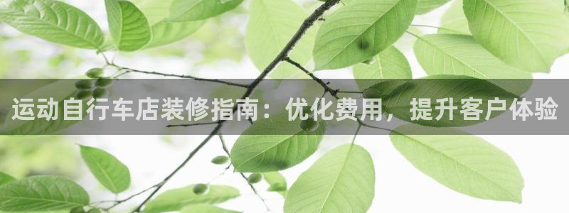 尊龙凯时-人生就是搏|运动自行车店装修指南:优化费用,提升客户体验(图1) 尊龙凯时-人生就是搏