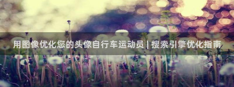 尊龙凯时人生就是搏平台|用图像优化您的头像自行车运动员 | 搜索引擎优化指南(图1) 尊龙凯时人生就是搏平台