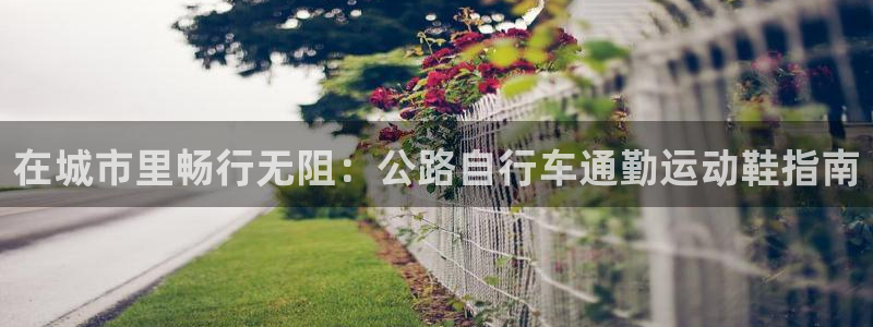 尊龙凯时·中国官方网站|在城市里畅行无阻:公路自行车通勤运动鞋指南(图1) 尊龙凯时·中国官方网站
