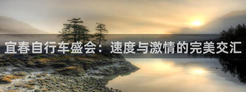 新版尊龙|宜春自行车盛会:速度与激情的完美交汇(图1) 新版尊龙
