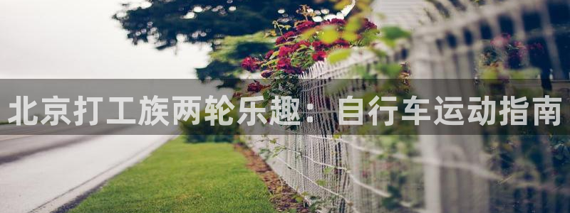 尊龙凯时的最新消息|北京打工族两轮乐趣:自行车运动指南(图1) 尊龙凯时的最新消息