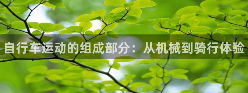 尊龙凯时人生就是博z6com|自行车运动的组成部分:从机械到骑行体验(图1) 尊龙凯时人生就是博z6com